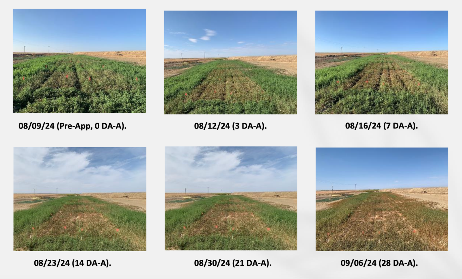 Captura de Tela 2025-10-27 às 09.56.05